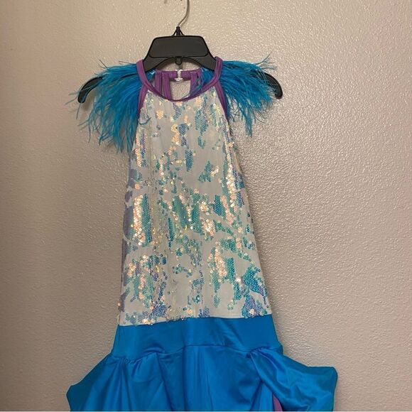 Weissman Dance Costume sassy feather sequin We Are Family 11495 Adult LA, MA - Picture 3 of 15